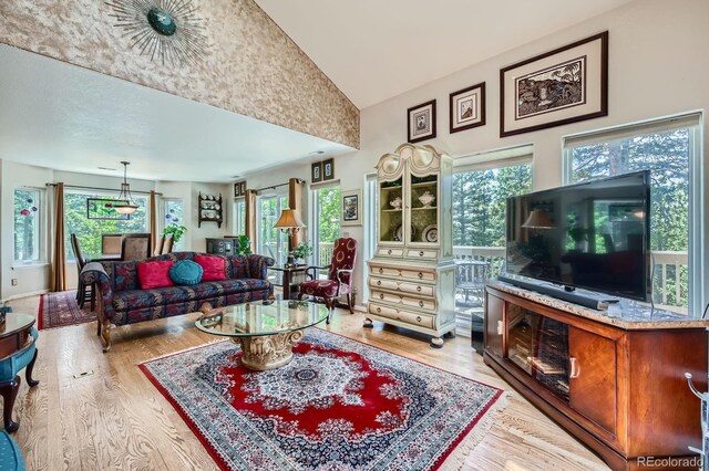 2206 Spruce Rd, Woodland Park, CO 80863 - photo 4