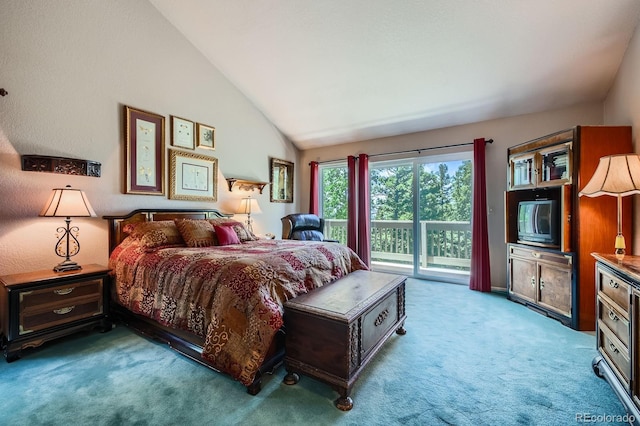 2206 Spruce Rd, Woodland Park, CO 80863 - photo 15