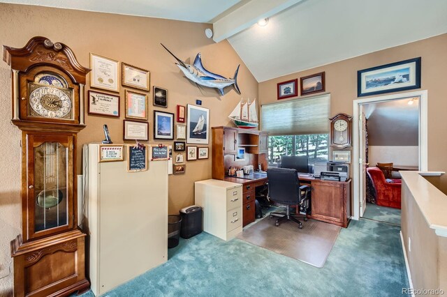 2206 Spruce Rd, Woodland Park, CO 80863 - photo 19