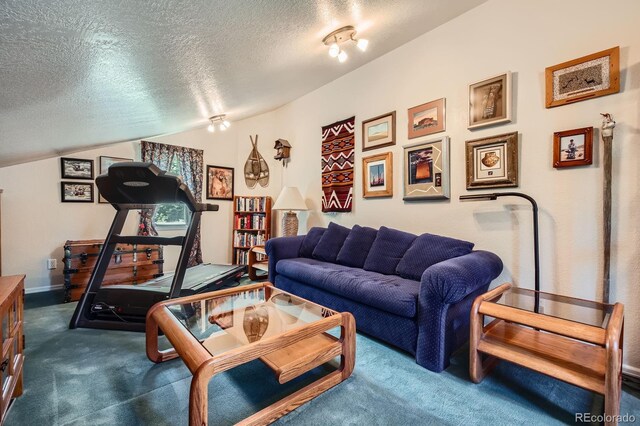 2206 Spruce Rd, Woodland Park, CO 80863 - photo 21