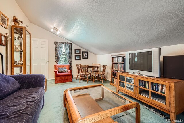 2206 Spruce Rd, Woodland Park, CO 80863 - photo 22