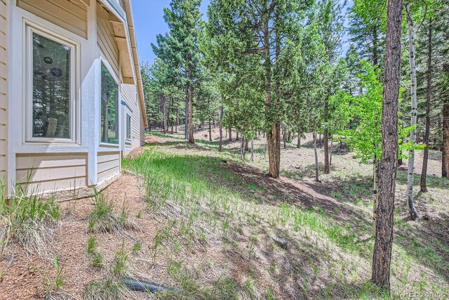 2206 Spruce Rd, Woodland Park, CO 80863 - photo 25