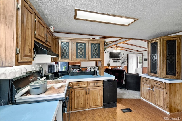 kitchen featuring ornamental molding, a textured ceiling, vaulted ceiling, light hardwood / wood-style floors, and ceiling fan