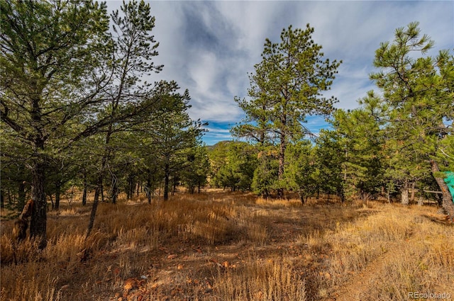 view of local wilderness