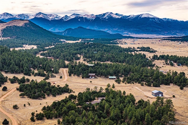 birds eye view of property featuring a mountain view