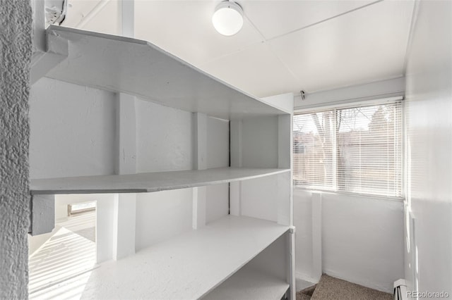 367 S Jasmine St, Denver, CO 80224 - view of storage room