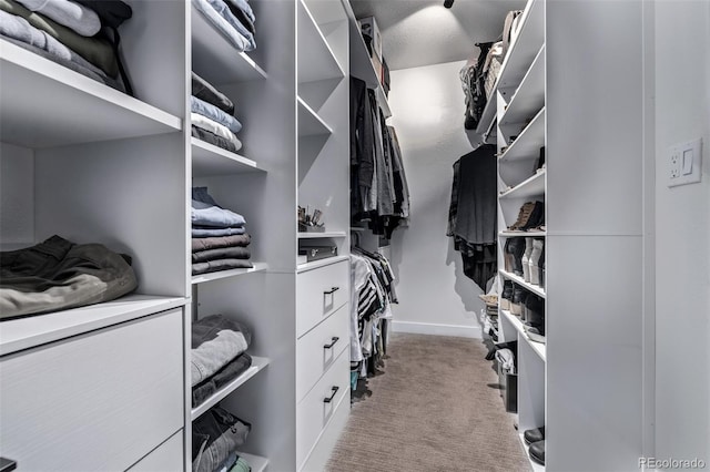 walk in closet featuring light colored carpet