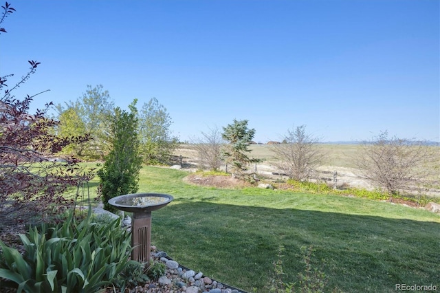 view of yard