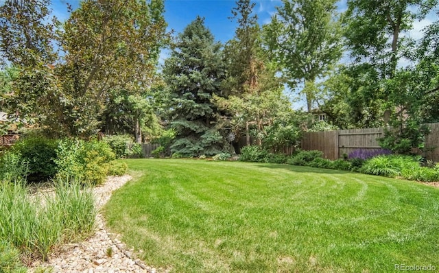 11496 E Wesley Ave, Aurora, CO 80014 - view of yard