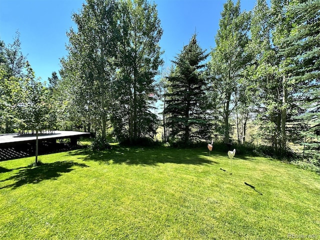 60248 County Road Ll57, Villa Grove, CO 81155 - photo 29