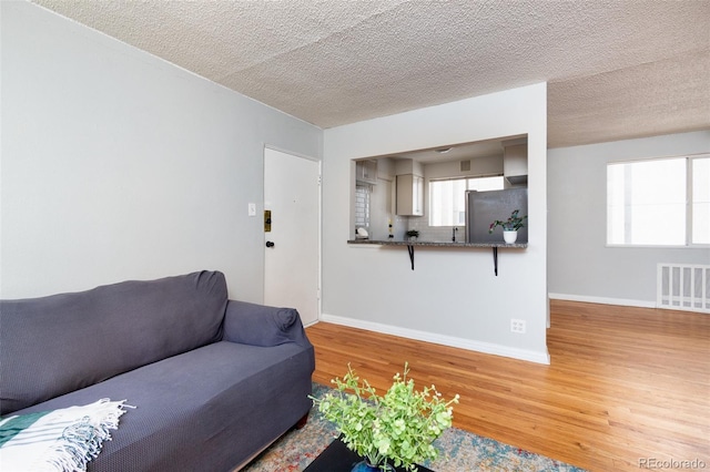 living room featuring wood-type flooring and a textured ceiling