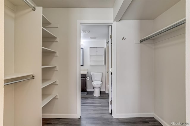 4899 S Dudley St Unit 2B, Littleton, CO 80123 - photo 15