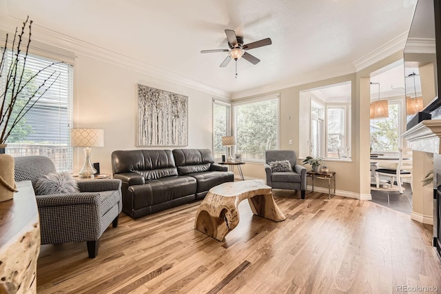 8657 Aberdeen Cir, Highlands Ranch, CO 80130 - living area with ceiling fan, light wood-type flooring, crown molding, baseboards, and a fireplace