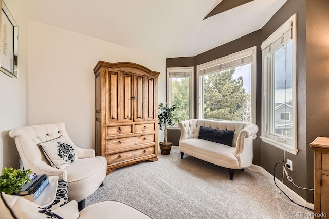 8657 Aberdeen Cir, Highlands Ranch, CO 80130 - living area featuring carpet and plenty of natural light