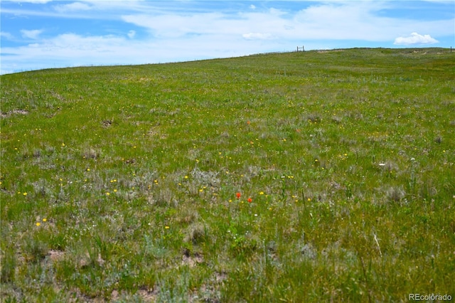 LOT2 Steppler Rd, Colorado Springs, CO 80908 - photo 45