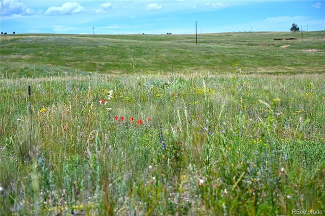 LOT2 Steppler Rd, Colorado Springs, CO 80908 - photo 13