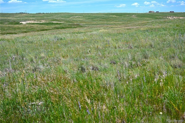 LOT2 Steppler Rd, Colorado Springs, CO 80908 - photo 38