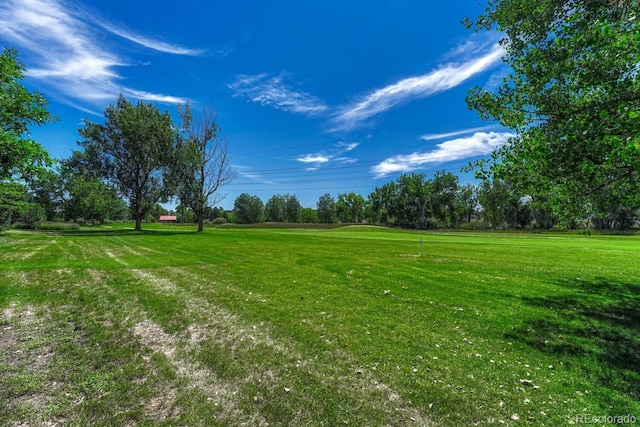 2943 W Riverwalk Cir Unit I, Littleton, CO 80123 - view of grassy yard featuring view of scattered trees