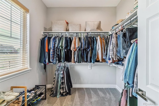 527 Antelope Dr E, Bennett, CO 80102 - spacious closet with carpet floors
