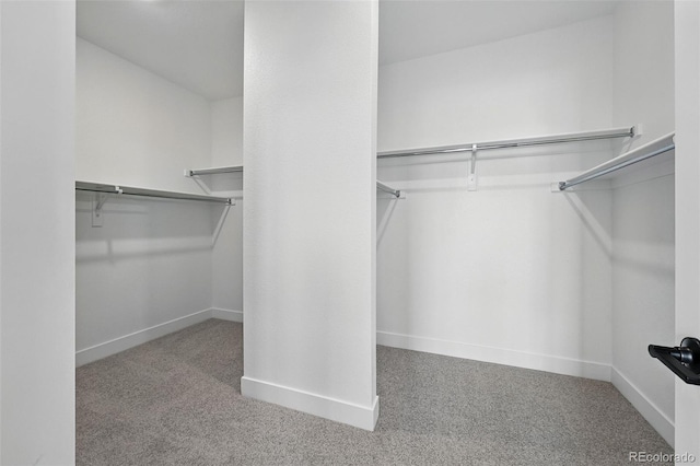 16565 Black Rose Cir, Parker, CO 80134 - walk in closet featuring carpet