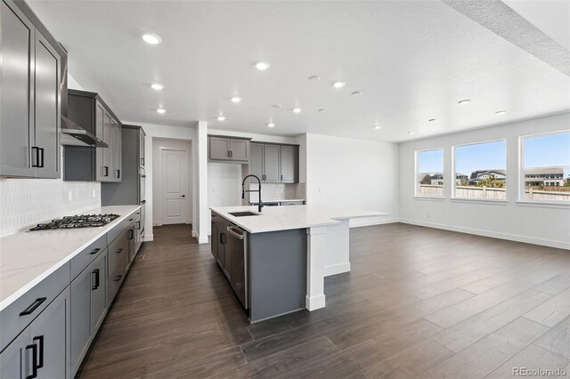 16565 Black Rose Cir, Parker, CO 80134 - kitchen featuring a sink, backsplash, dark wood-style flooring, and recessed lighting
