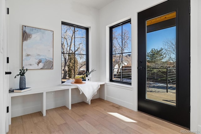 doorway featuring light wood-type flooring and a wealth of natural light