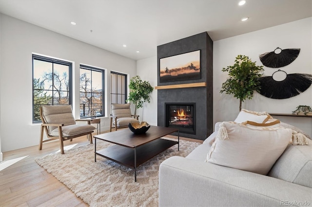 living room featuring a fireplace and light wood-type flooring