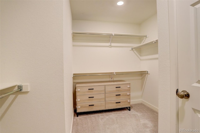 4444 N Picadilly Ct, Aurora, CO 80019 - spacious closet with light carpet