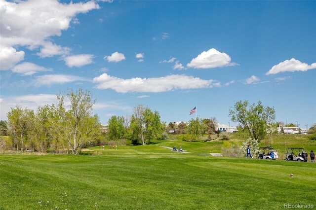2770 S Elmira St Unit 157, Denver, CO 80231 - photo 48