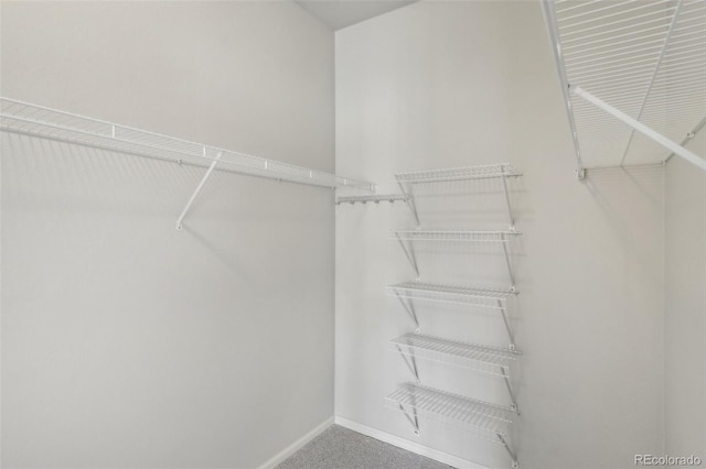 spacious closet with carpet floors