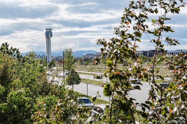 mountain view