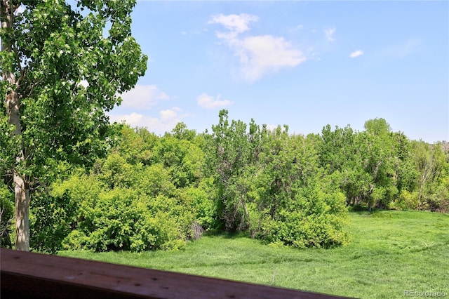 9771 W Cornell Pl, Lakewood, CO 80227 - view of woods