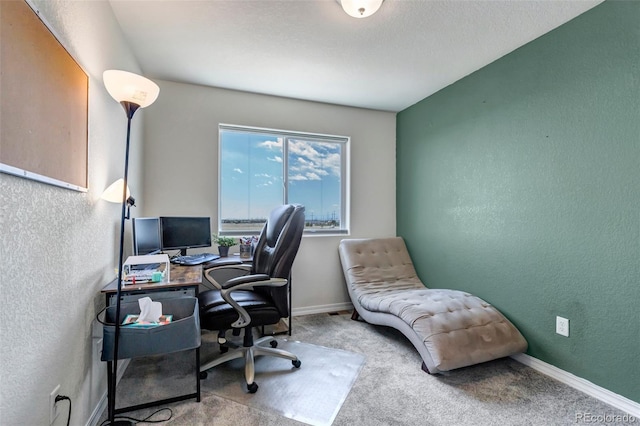 11051 Linley Way, Colorado Springs, CO 80908 - carpeted home office with a textured wall and baseboards