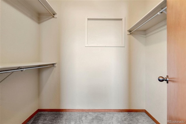 spacious closet with carpet