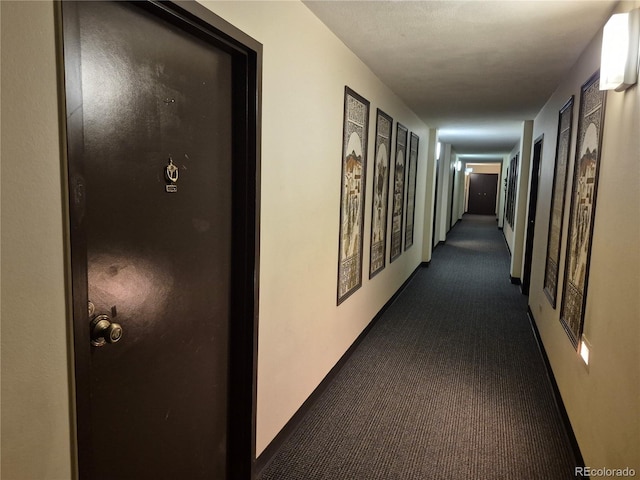 7801 W 35th Ave Unit 208, Wheat Ridge, CO 80033 - photo 3