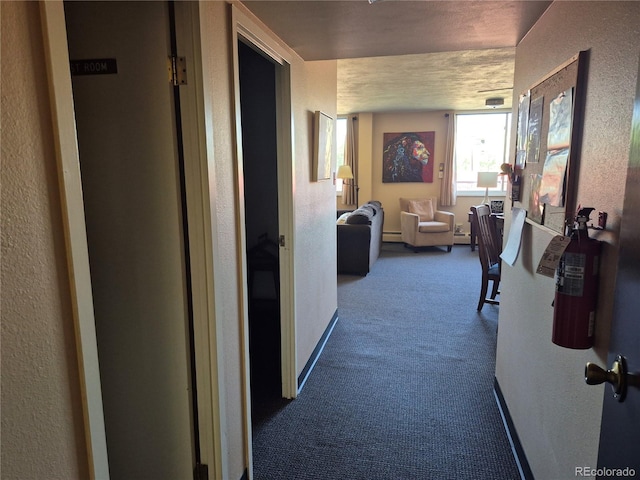 7801 W 35th Ave Unit 208, Wheat Ridge, CO 80033 - photo 5