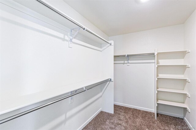 21761 E 7th Ave, Aurora, CO 80018 - spacious closet with carpet flooring