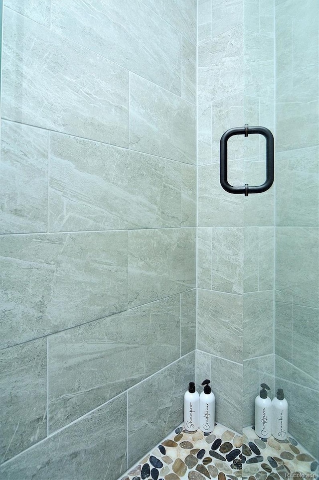 129 Lang St, Twin Lakes, CO 81251 - view of bathroom