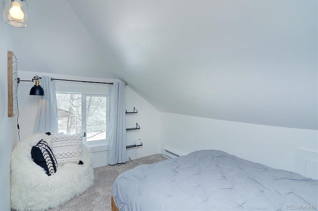 129 Lang St, Twin Lakes, CO 81251 - carpeted bedroom with vaulted ceiling and a baseboard heating unit