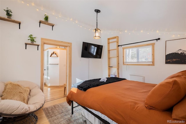 129 Lang St, Twin Lakes, CO 81251 - bedroom featuring light wood-type flooring