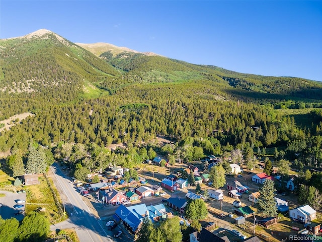129 Lang St, Twin Lakes, CO 81251 - aerial overview of property's location featuring a heavily wooded area and a mountain backdrop