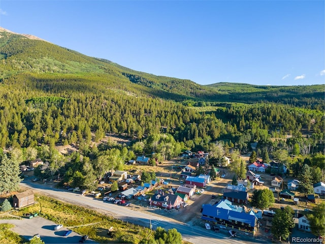 129 Lang St, Twin Lakes, CO 81251 - bird's eye view of a forest and a mountainous background