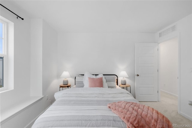 13446 Amber Sky St, Parker, CO 80134 - bedroom with light carpet and baseboards