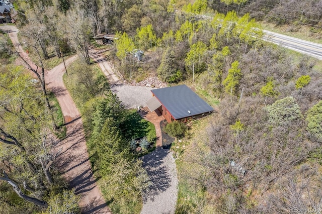 103 Trout Run Dr, Carbondale, CO 81623 - aerial view of property and surrounding area