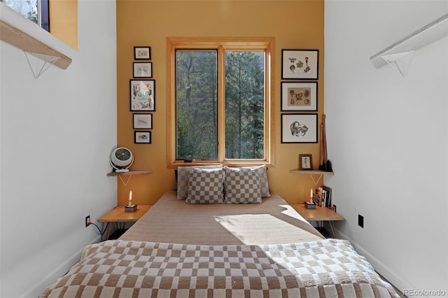 103 Trout Run Dr, Carbondale, CO 81623 - bedroom with baseboards