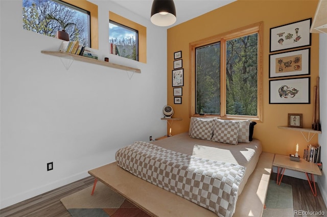 103 Trout Run Dr, Carbondale, CO 81623 - bedroom featuring wood finished floors and baseboards