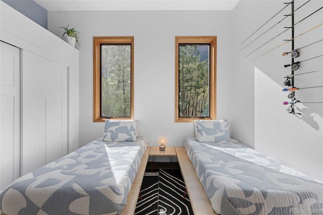 103 Trout Run Dr, Carbondale, CO 81623 - view of bedroom