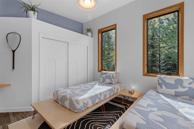 103 Trout Run Dr, Carbondale, CO 81623 - photo 19