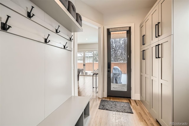 mudroom featuring light wood finished floors