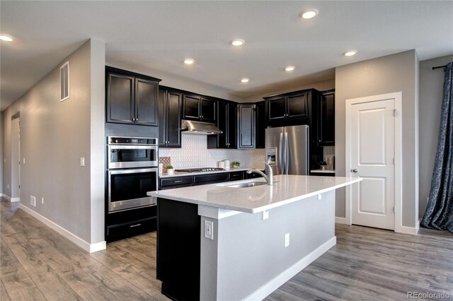 4090 Forever Cir, Castle Rock, CO 80109 - kitchen featuring appliances with stainless steel finishes, a sink, baseboards, light wood-style flooring, and tasteful backsplash